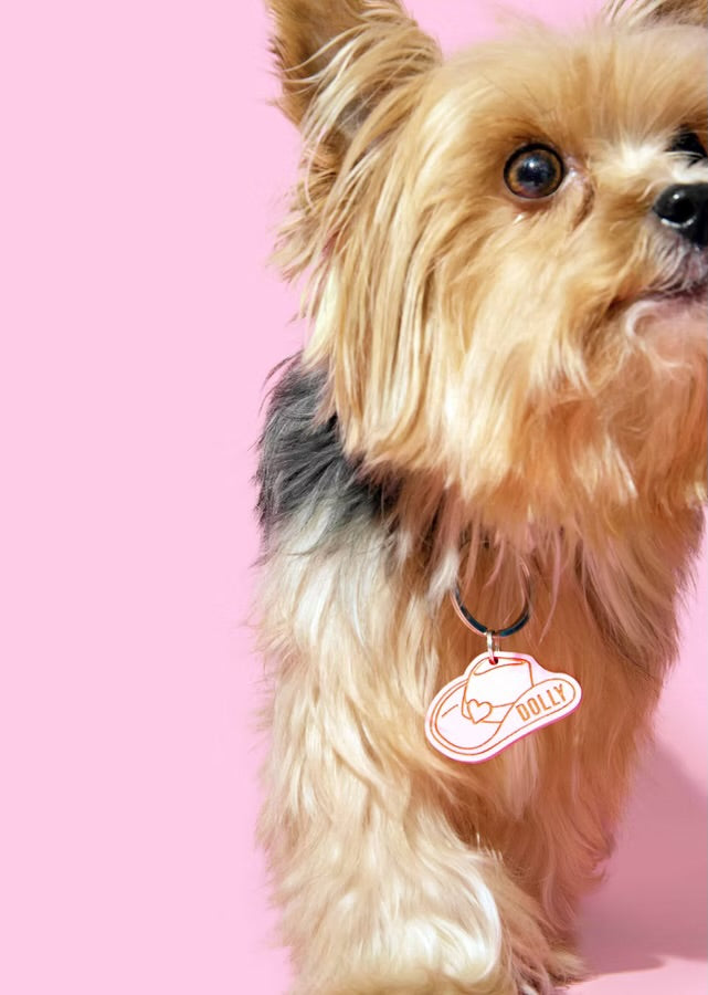 Kissamo Pet Tags