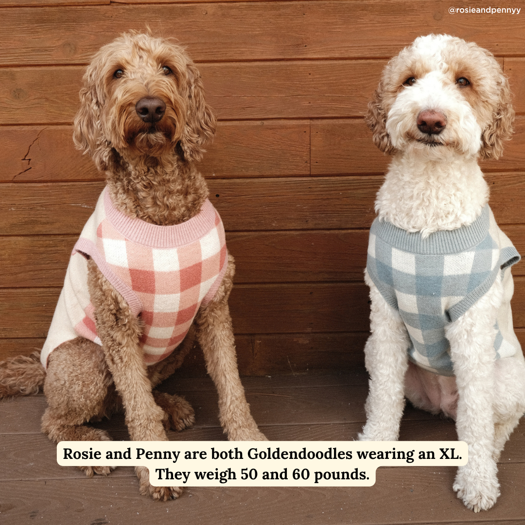 Bowwow Wow! Sweater