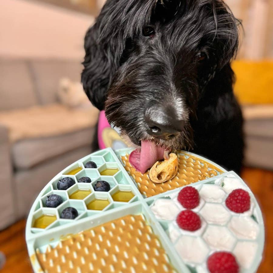Valentine's Day Sweetheart Snack Buddy Budder