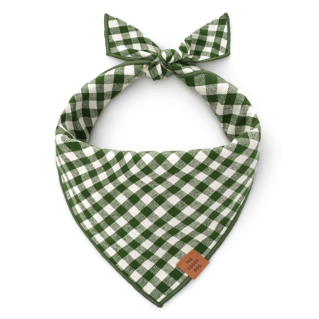 HTH x TFD Mini Gingham Hunter Green Dog Bandana