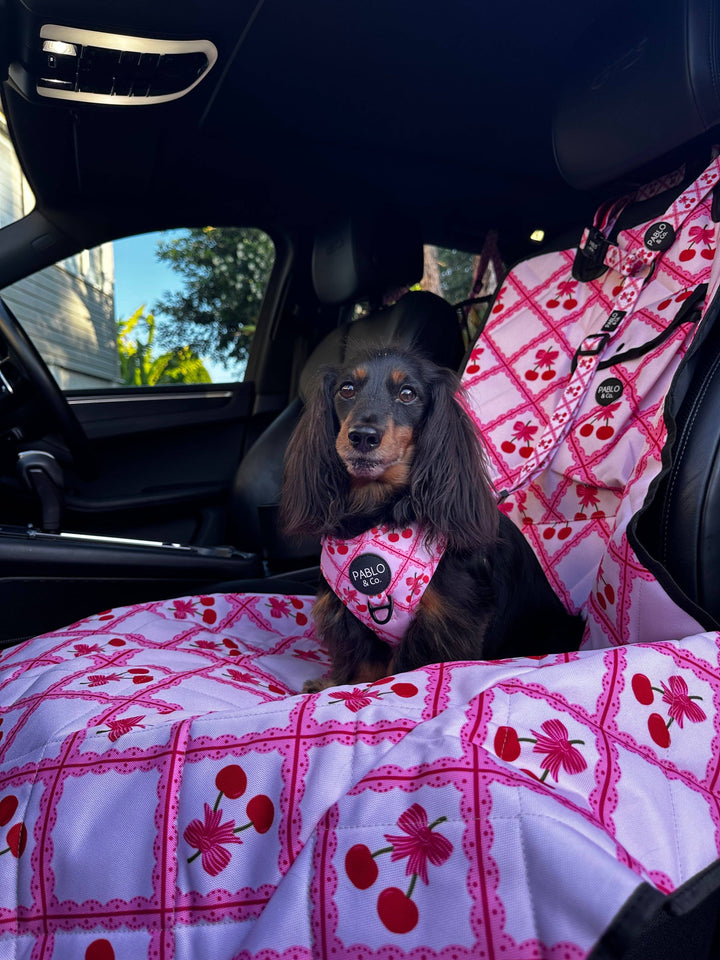 Ma chérie: Deluxe Single Car Seat Cover