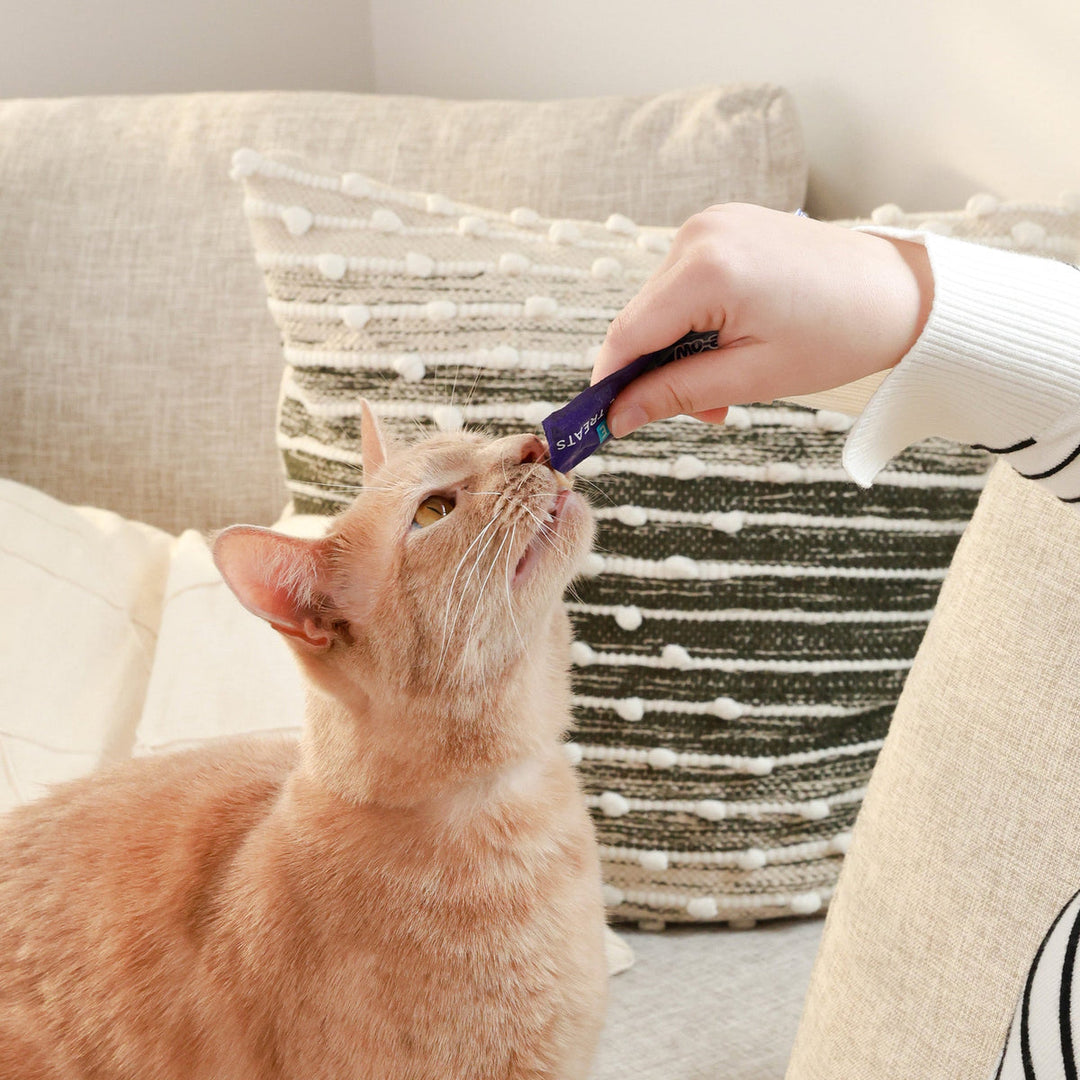 Kiss Me-Ow Lickable Dental Treats