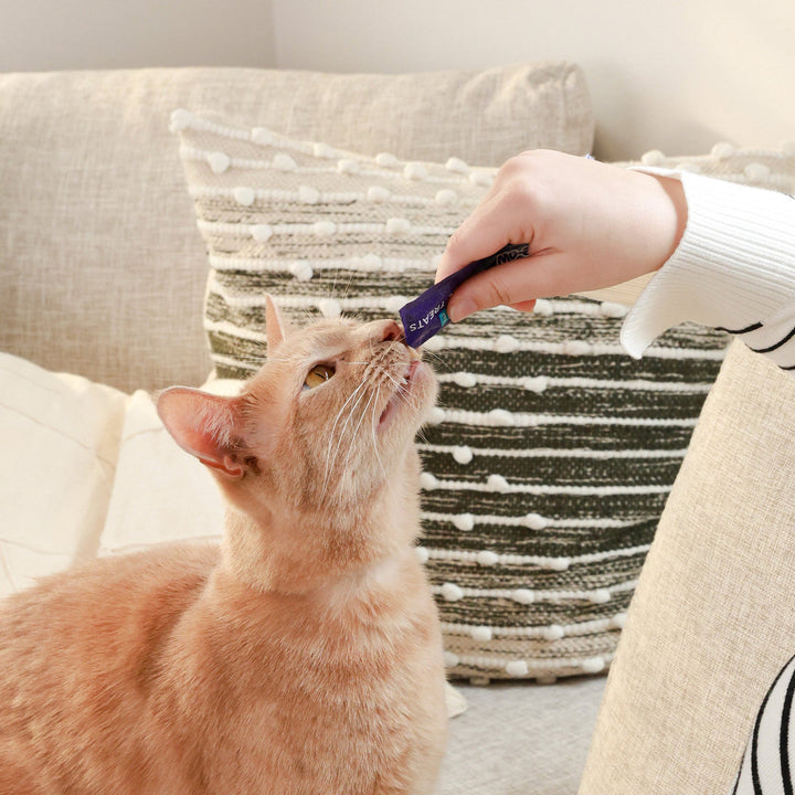 Kiss Me-Ow Lickable Dental Treats