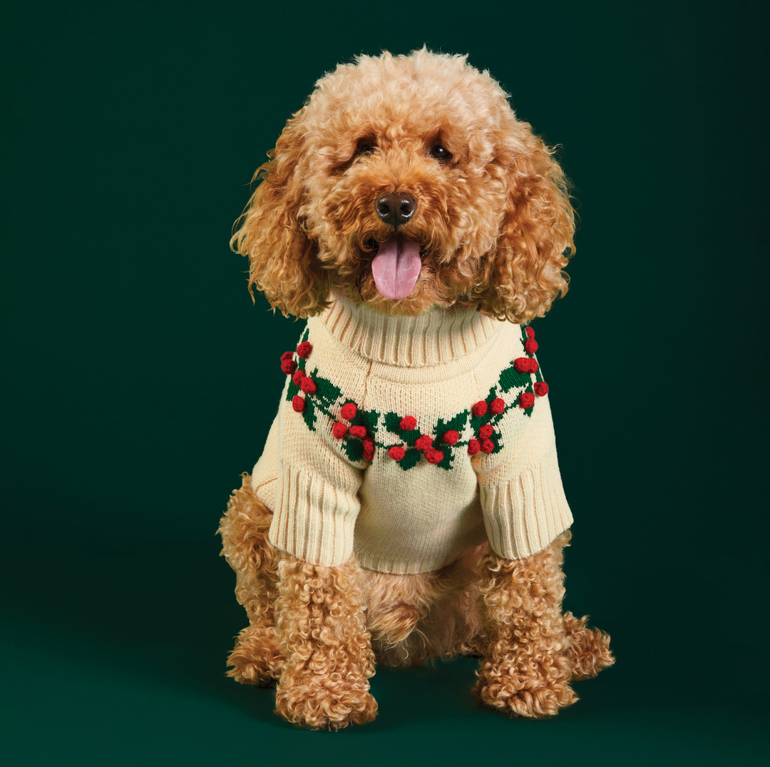 Holly Bobble Holiday Sweater