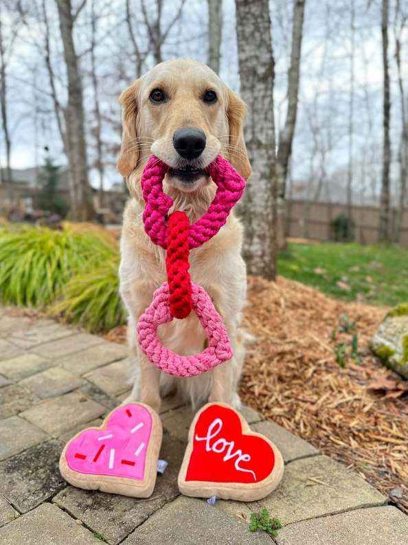 Midlee Red Heart Love Sugar Cookie