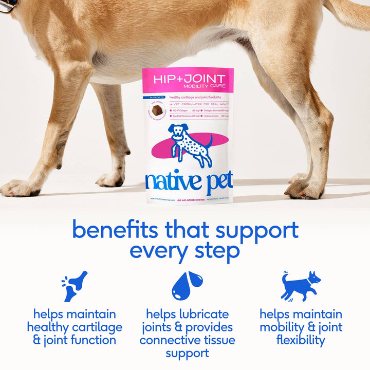 Hip+Joint Mobility Care Chews, Hip & Joint Supplement