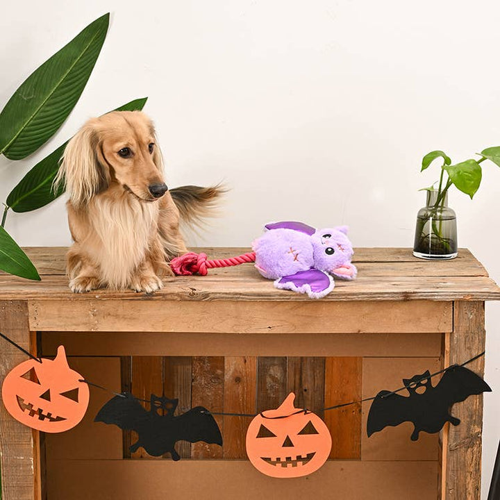 HugSmart Pet - Howloween Night | Bat - Dog Plush Toy