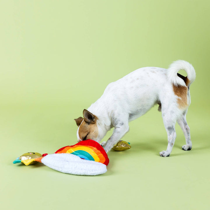LOOK ON BRIGHT SIDE HIDE & SEEK DOG TOY