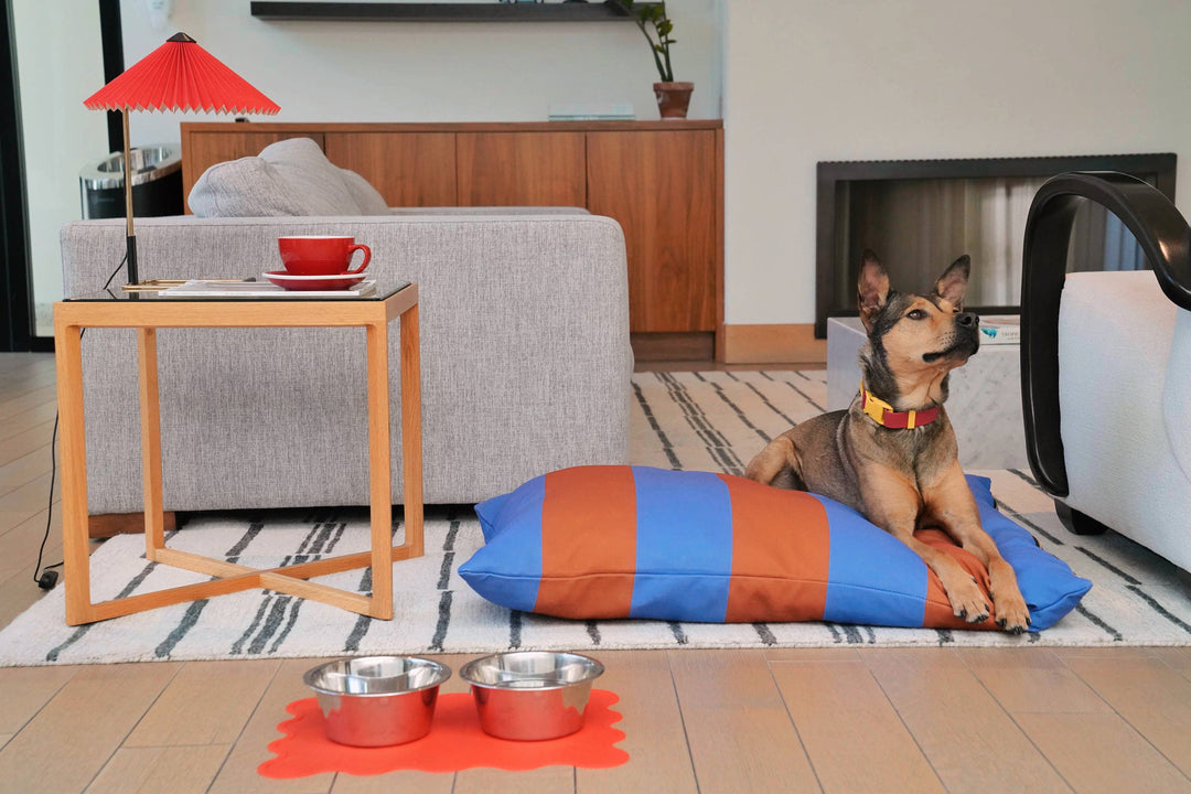 The Fritz Dog Bed | Recycled | Machine Washable
