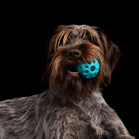 Totally Pooched Huff'n Puff Ball Rubber, Small