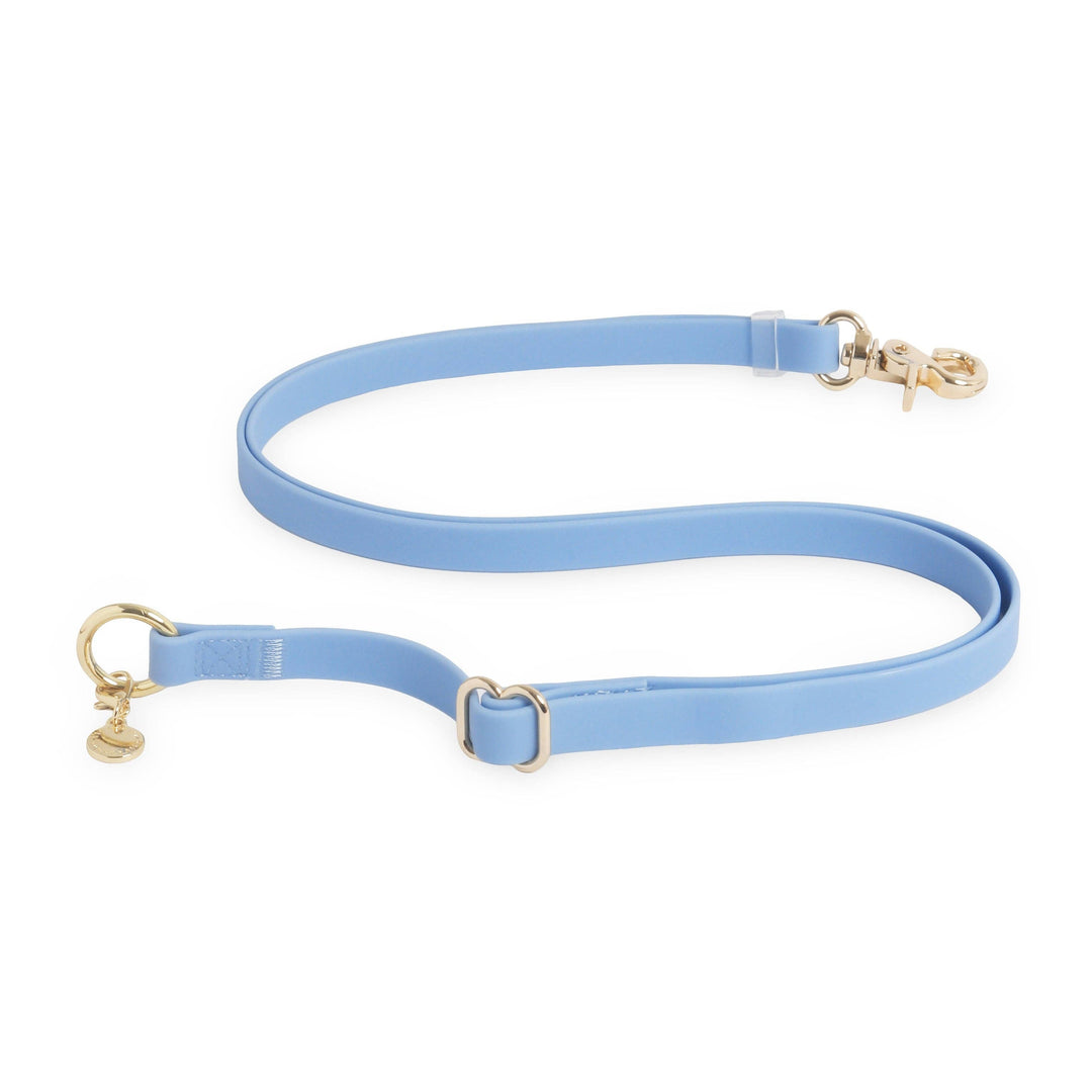 Cloud Leash 4-Way Extension