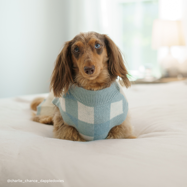 Bowwow Wow! Sweater