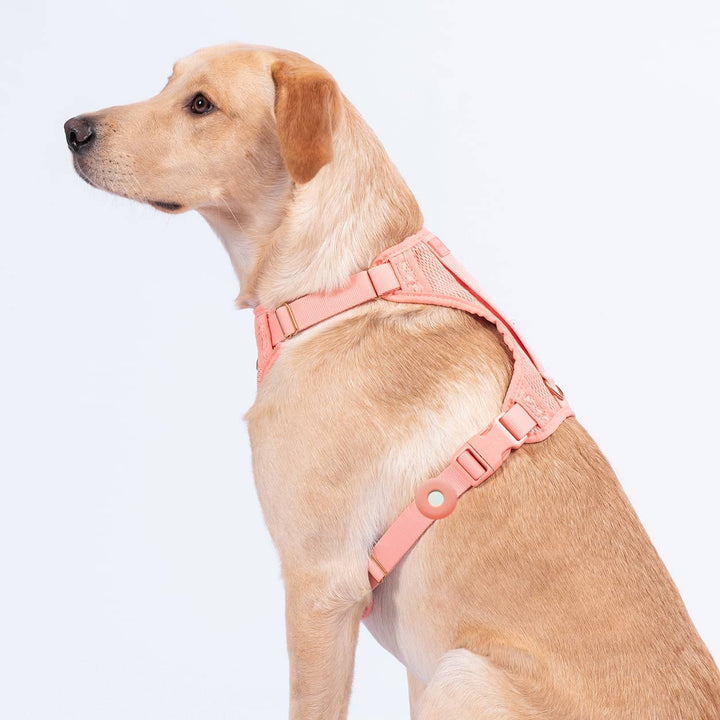 Fetch! AirTag Holder