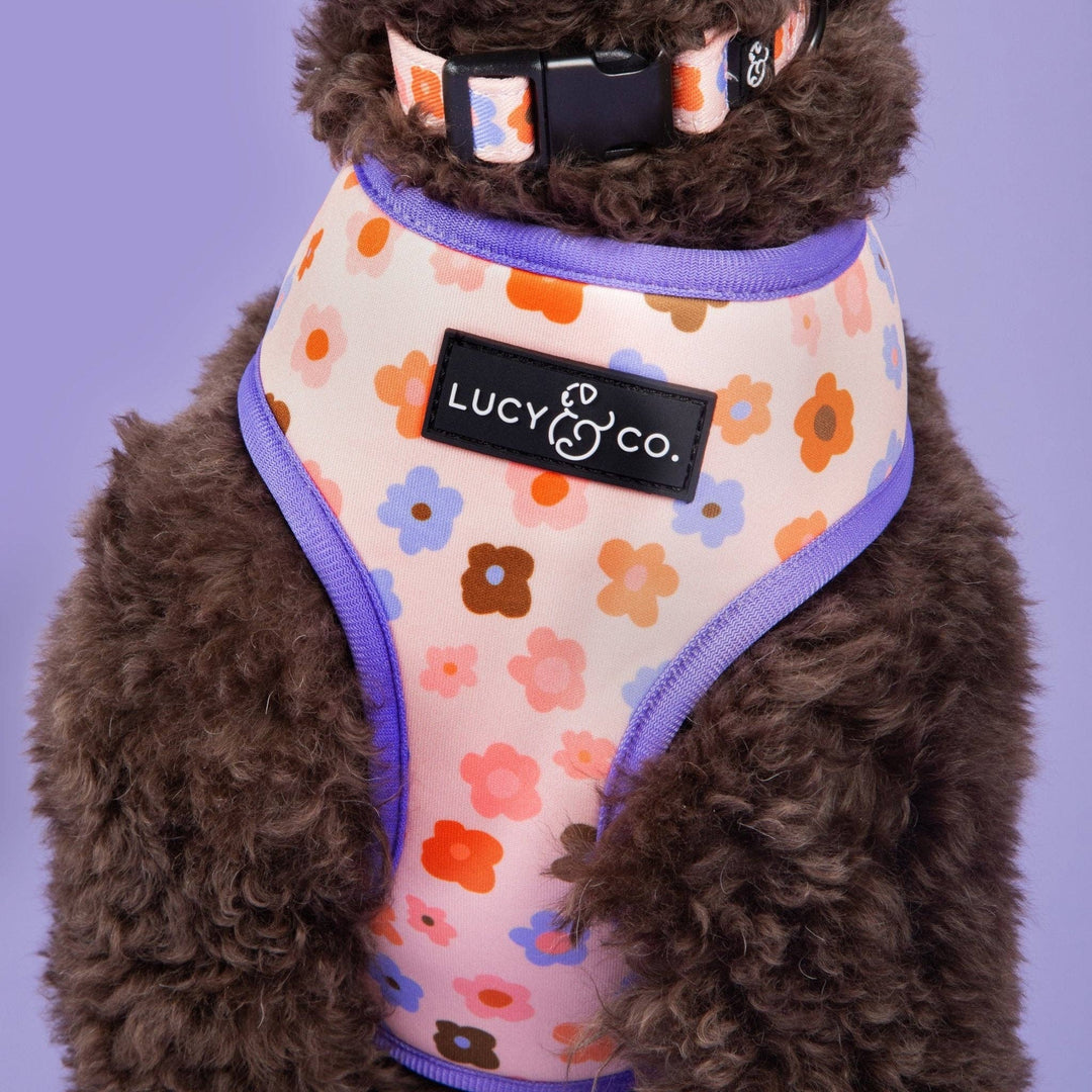 The Let's Groove Reversible Harness