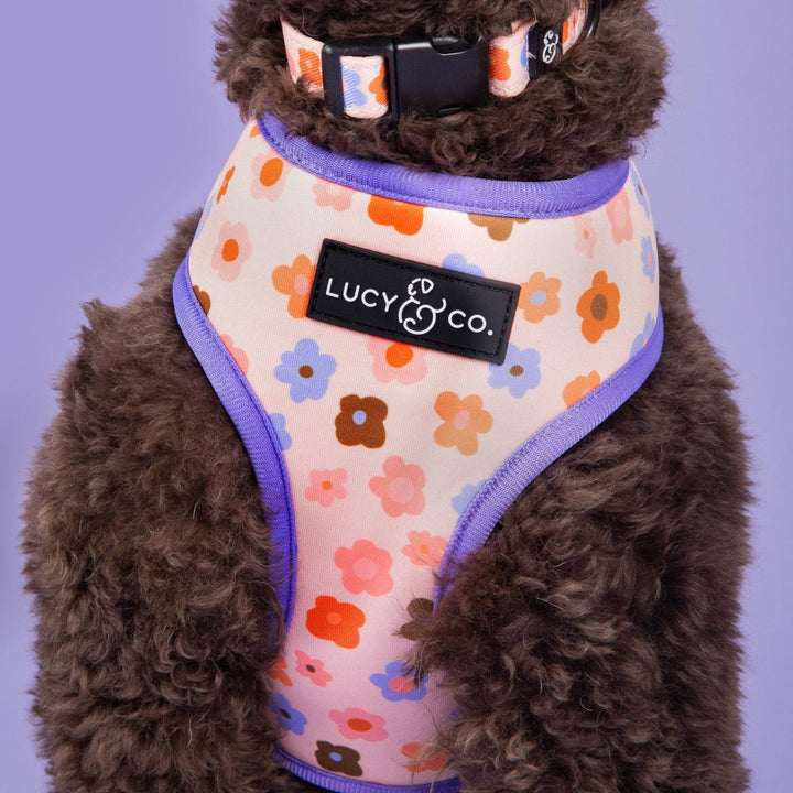 The Let's Groove Reversible Harness