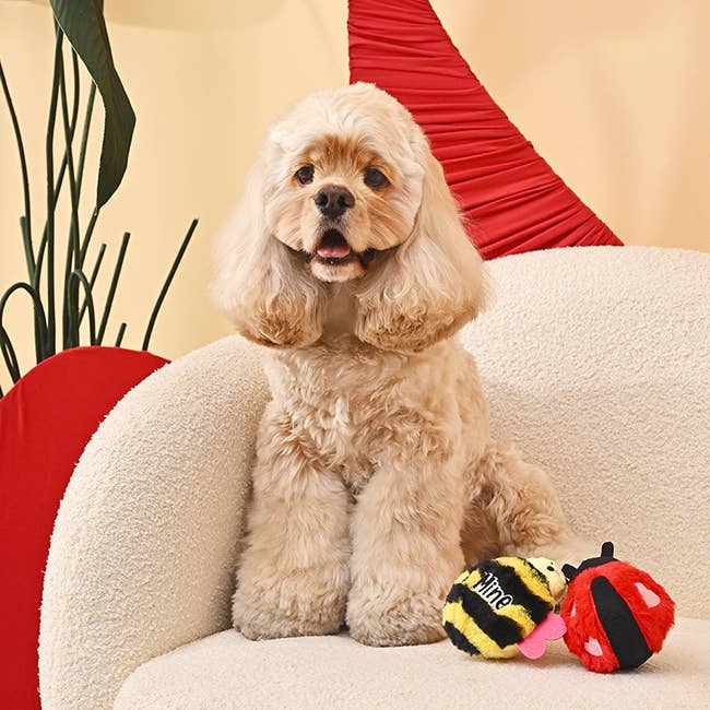 Love Bug - Dog Ball Toy