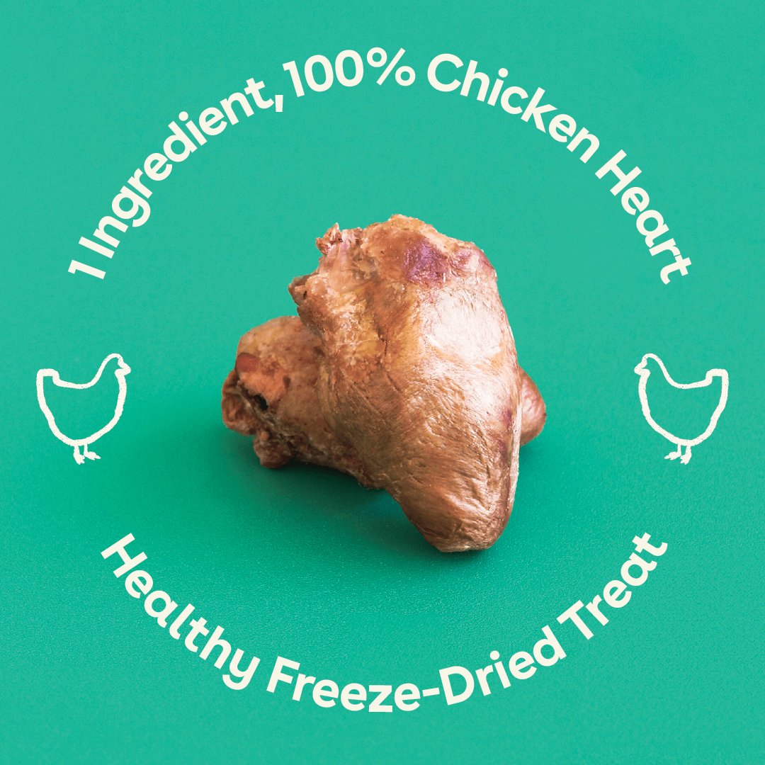 Freeze Dried Chicken Hearts 4.25oz