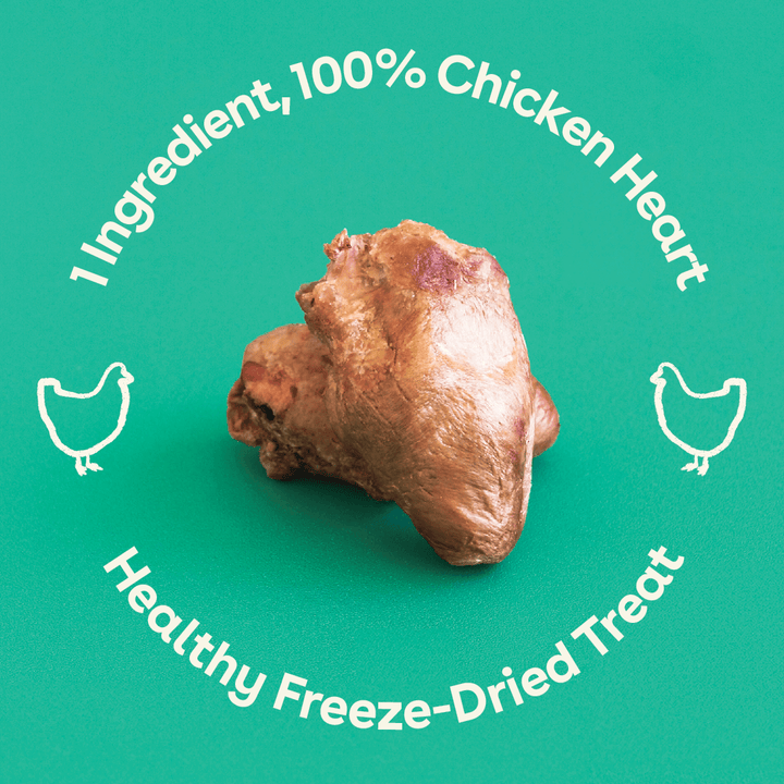 Freeze Dried Chicken Hearts 4.25oz