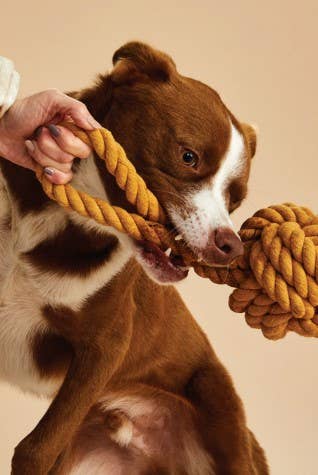 Celtic Knot 5" Yellow Rope Toy