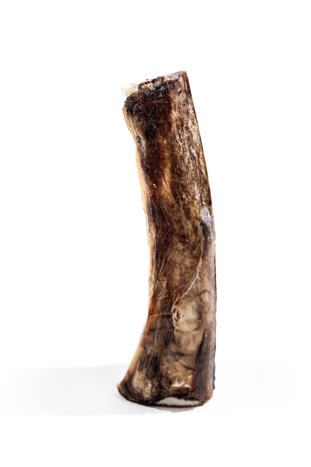 Bison Marrow Bone