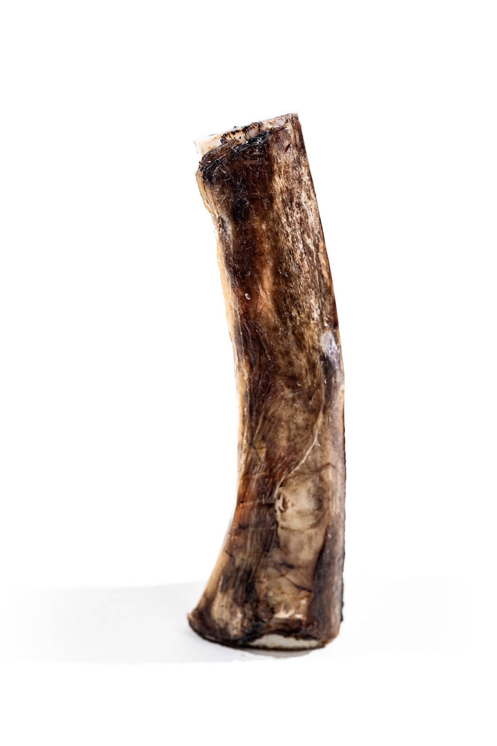 Bison Marrow Bone