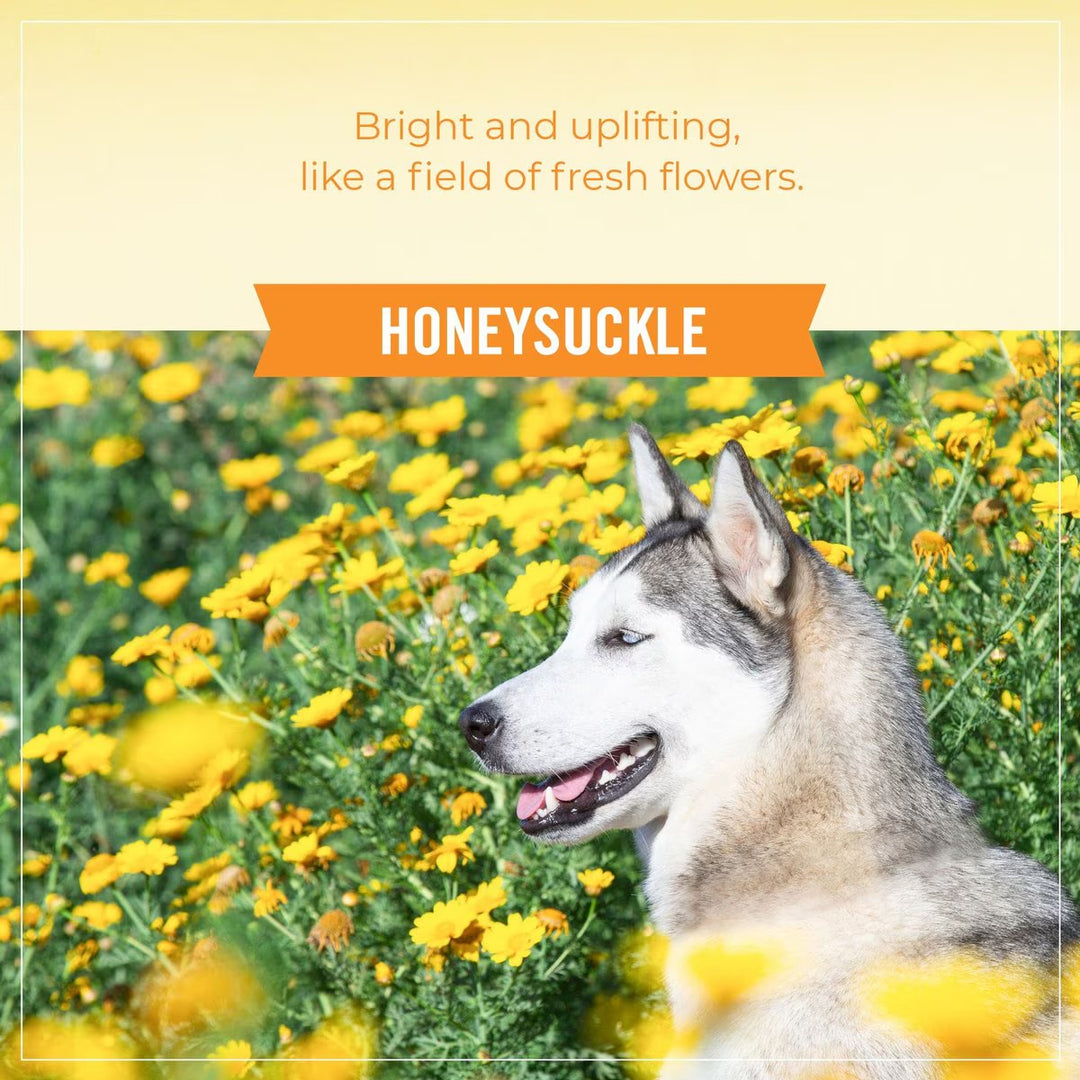 Probiotic Deodorizer Spray for dogs