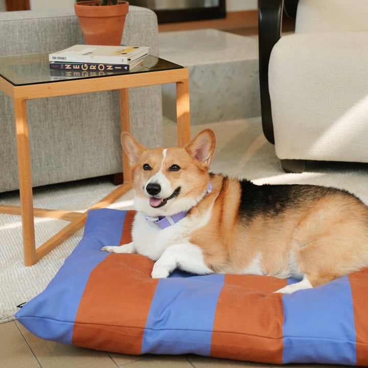 The Fritz Dog Bed | Recycled | Machine Washable