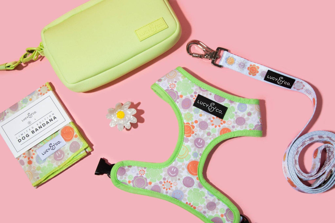 Tennis Ball Crossbody Treat Bag