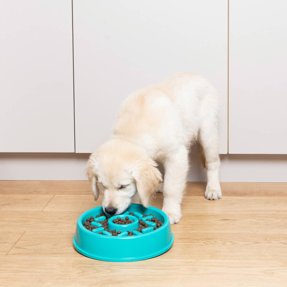 Happy Bowl - Donut - Dog Bowl