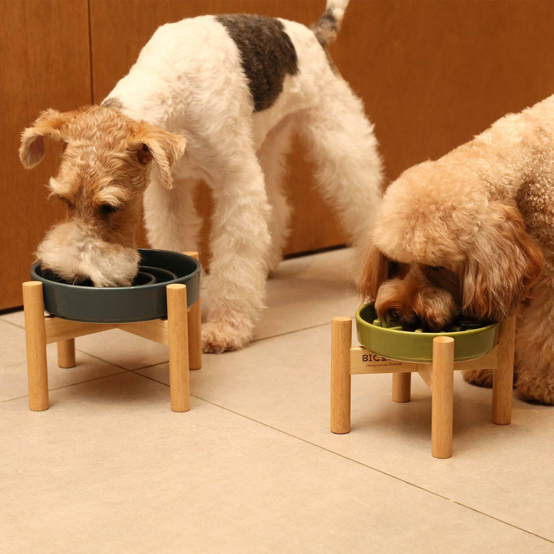 Wave Slow Feeder Dog Bowl