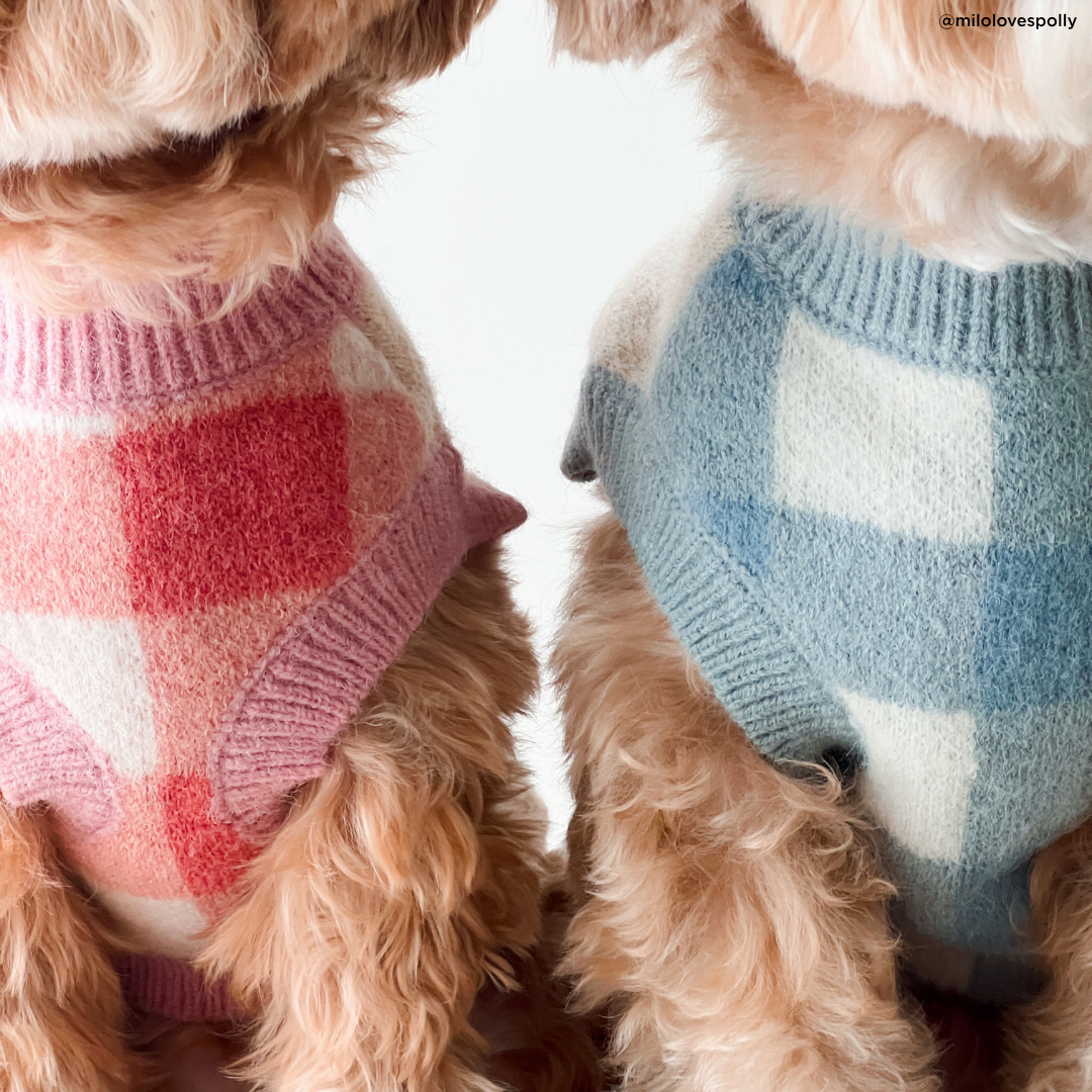 Bowwow Wow! Sweater