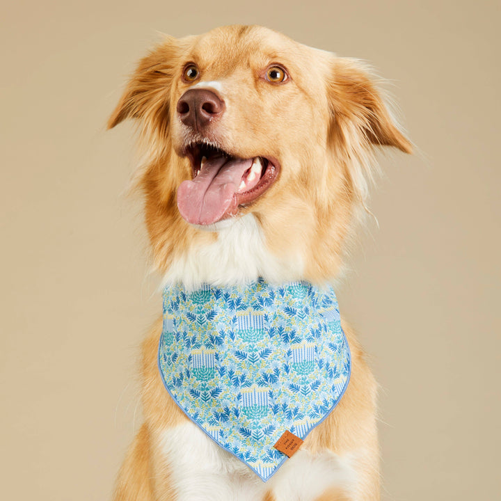 Flora Menorah Bandana