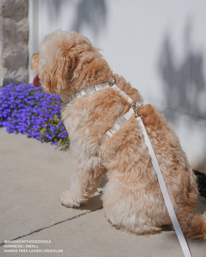 Cloud Lite Harness