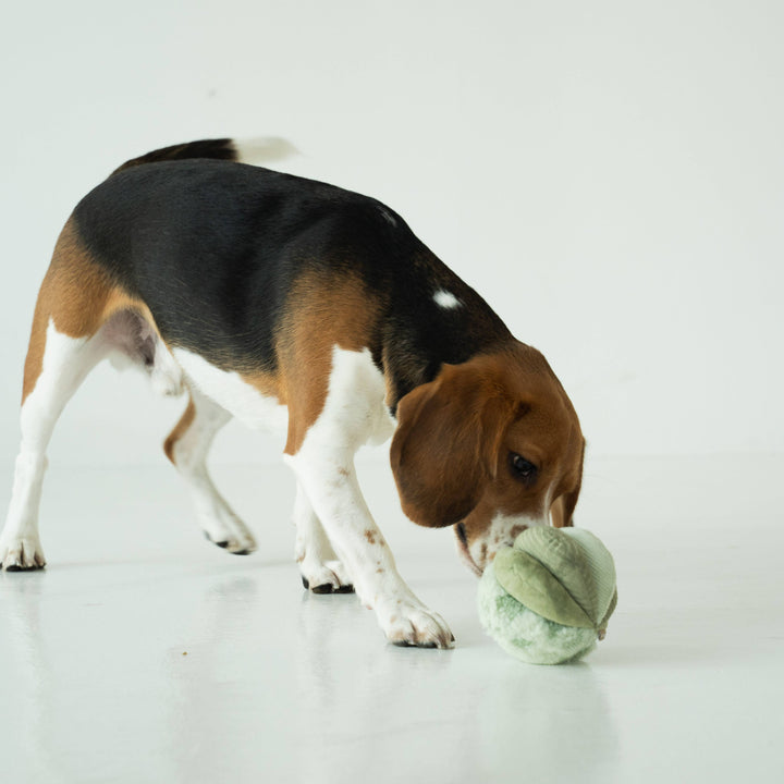 TOTO // Silent Snuffle Smaller Ball
