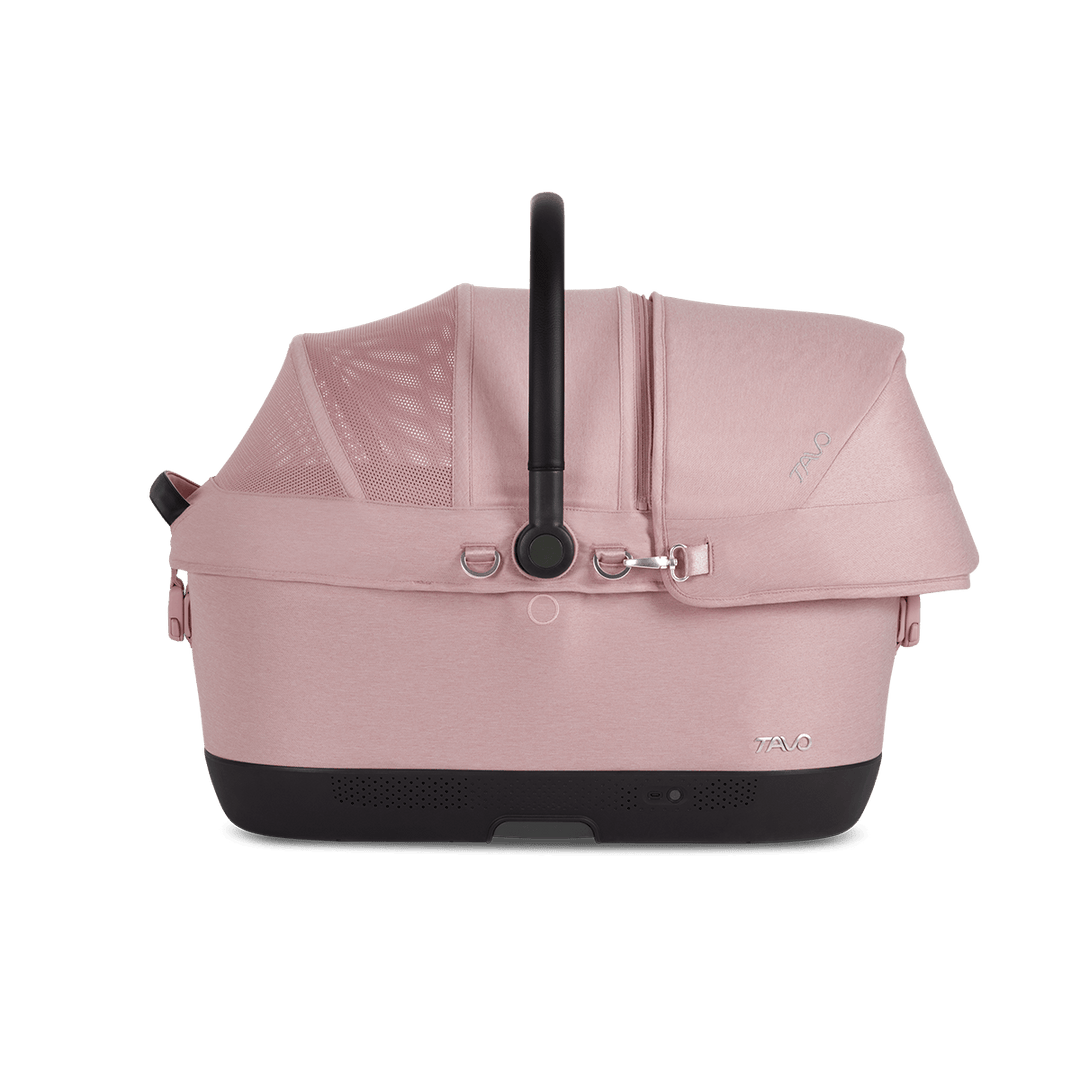 Maeve iso Wind