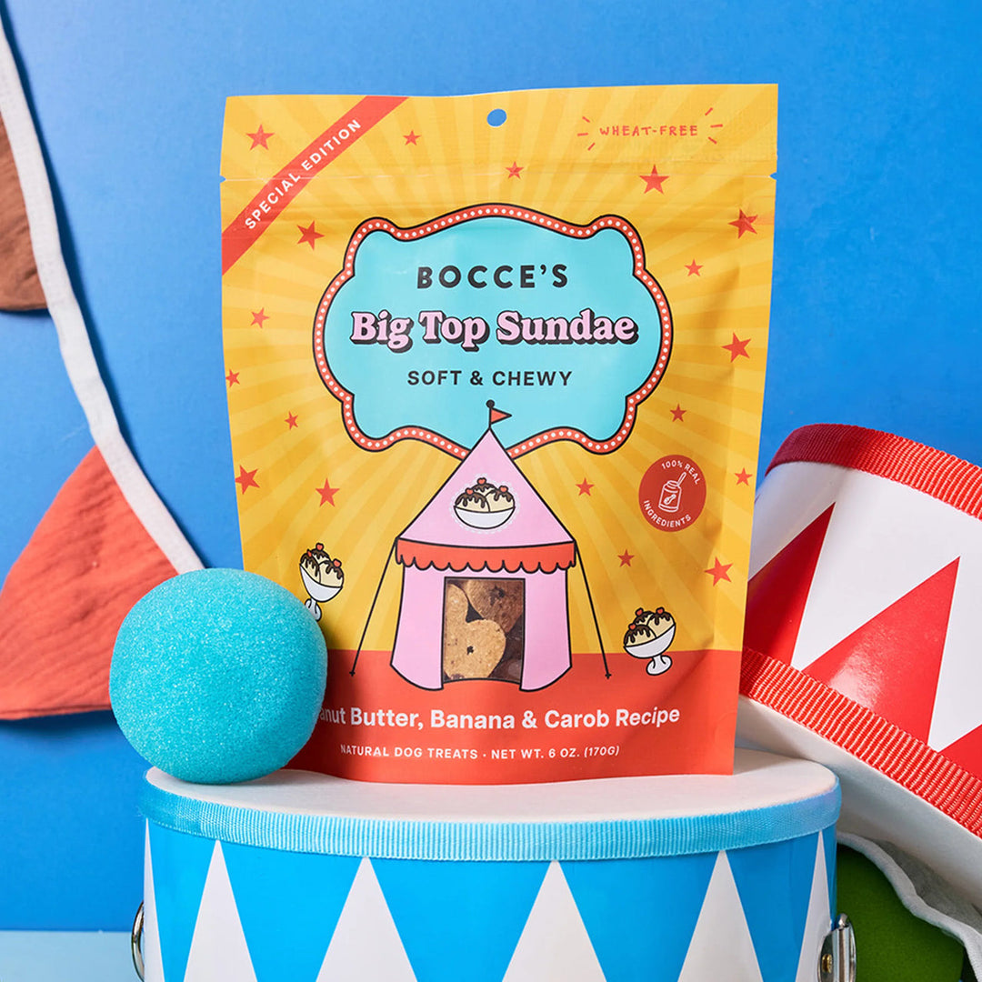 Bocce’s Circus Edition