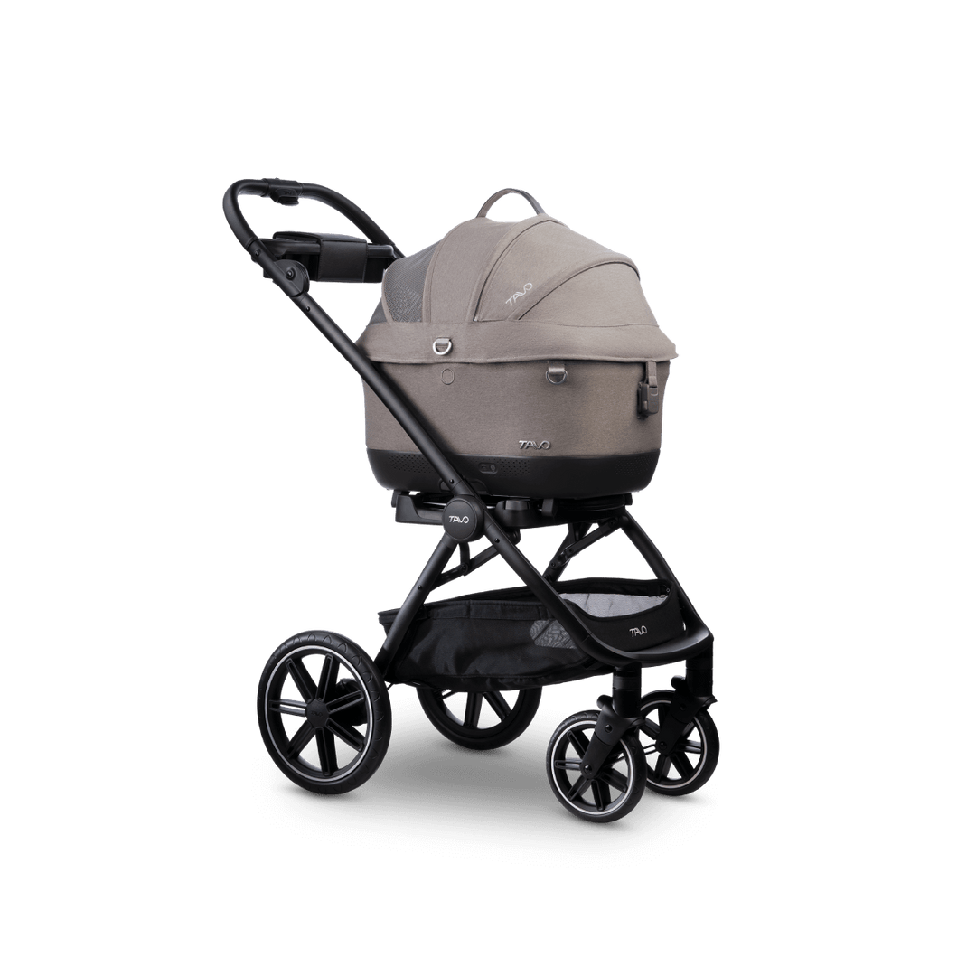 Maeve iso Wind + Roscoe Trek
