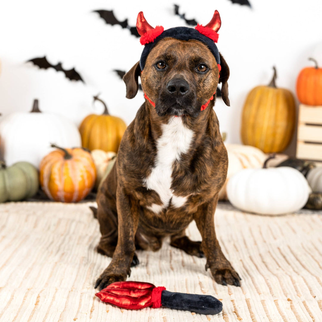 CUTE LIL DEVIL
