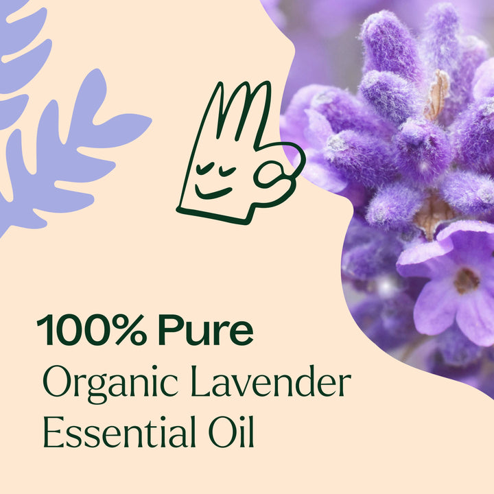 Organic Lavender Essential Oil 100mL