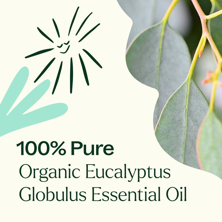 Organic Eucalyptus Globulus Essential Oil 100 mL