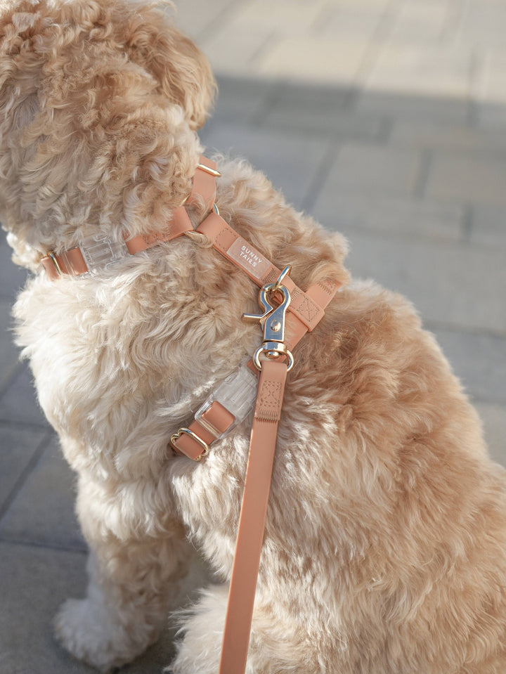 Cloud Lite Harness