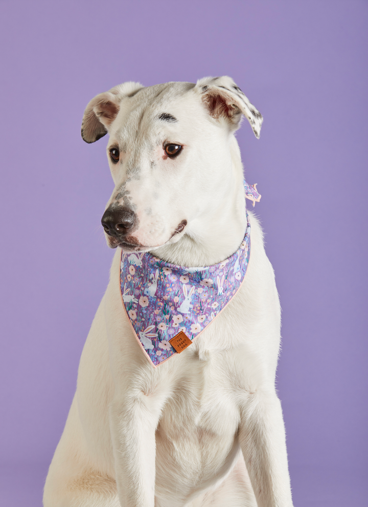 Bunny Meadow Easter Bandana