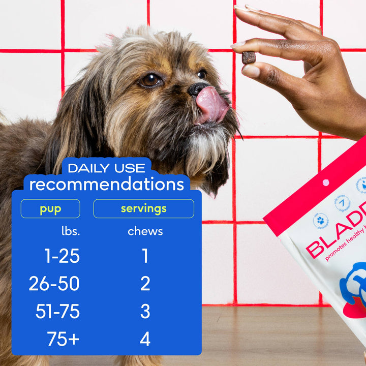 Cranberry Bladder Chews, Kidney & Urinary Supplement for Dog