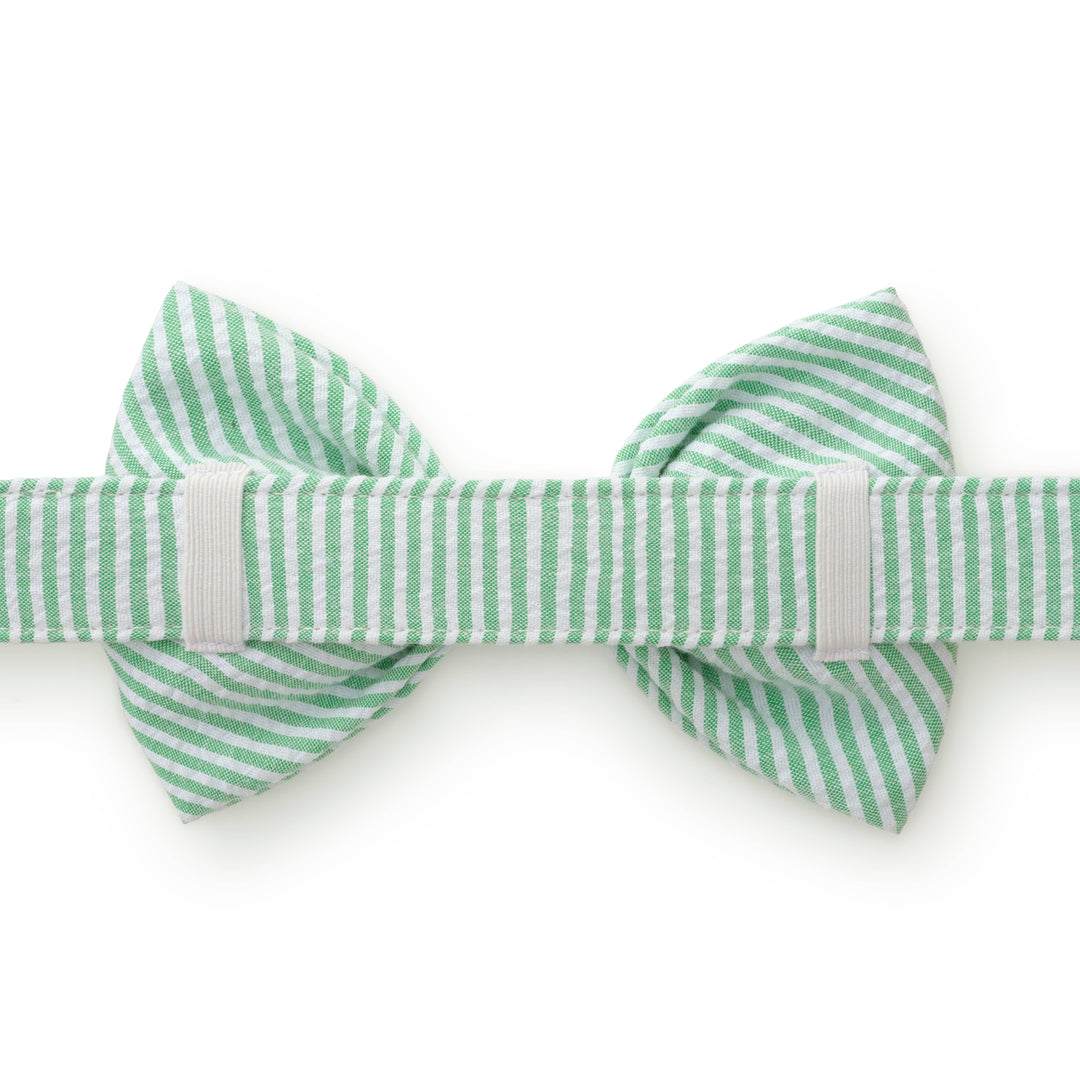 Green Seersucker Dog Bow Tie