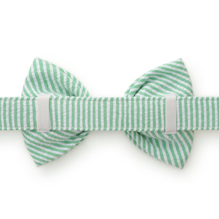 Green Seersucker Dog Bow Tie