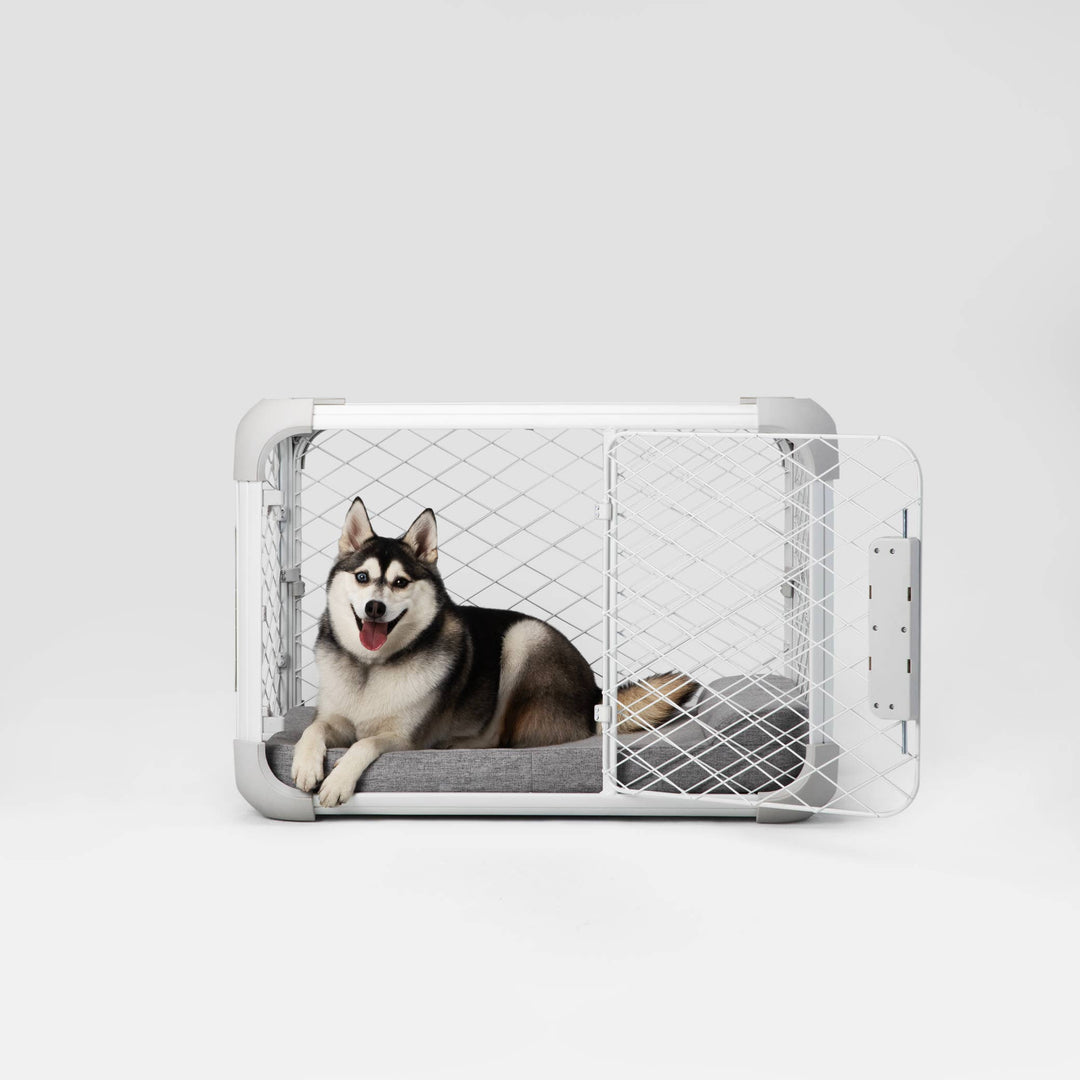 Evolv Dog Crate