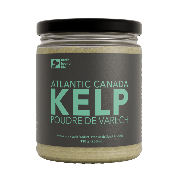 Organic Atlantic Canada Kelp