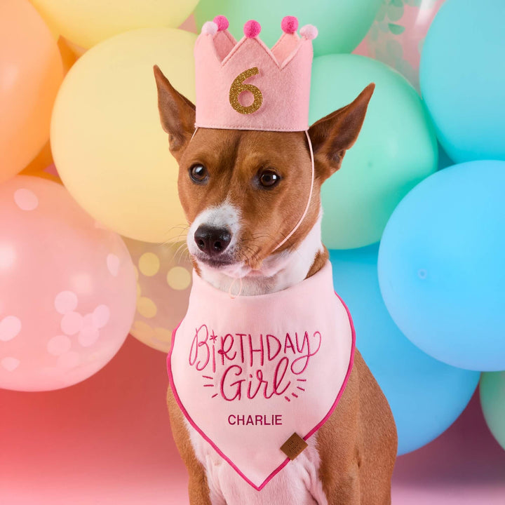 Birthday Girl Embroidered Dog Bandana