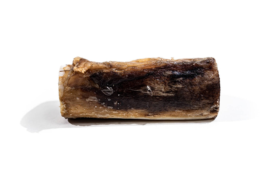 Bison Marrow Bone