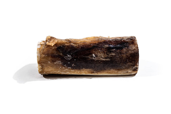 Bison Marrow Bone